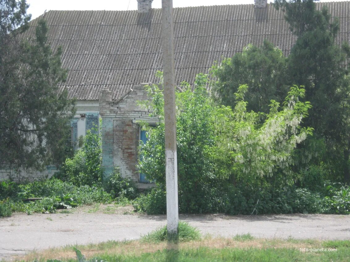 Каменского запорожской области. Село Зразковое Михайловский район. Запорожская область Михайловский район село Розенталь. Тимошевка Михайловский район Запорожская область. Село Каменское Запорожской области.