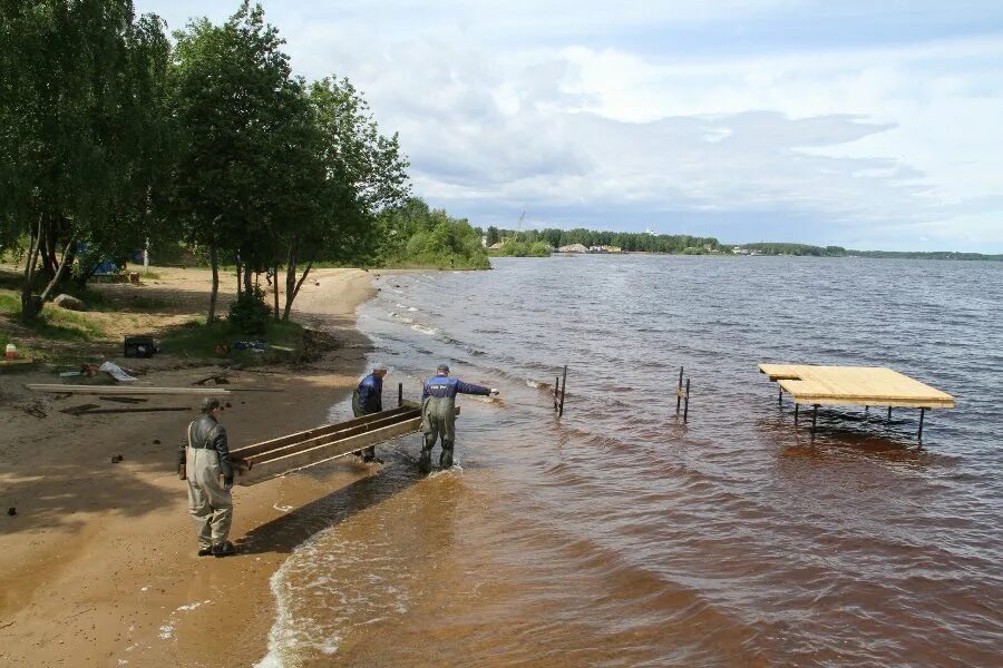 Решено было пристать к берегу. Остров Юршино Рыбинск. Юршинский остров Рыбинское водохранилище. Юршино усадьба. Рыбинское водохранилище переборы.