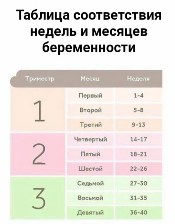 18 недель беременности это сколько месяцев. Триместры беременности по неделям и месяцам таблица. Недели беременности по неделям и месяцам. Недели месяцы триместры беременности. Недели беременности потмесяцам.