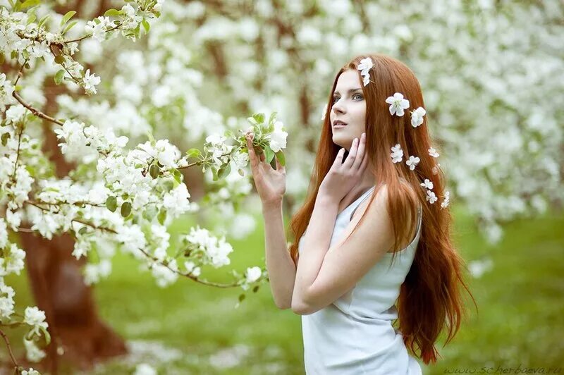Фотосессия в цвету. Девушка в яблонях. Девушка в цветущих садах. Девушка в цветущих яблонях. Фотосессия в цветущих яблонях.