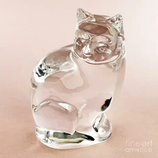 Стеклянный кот