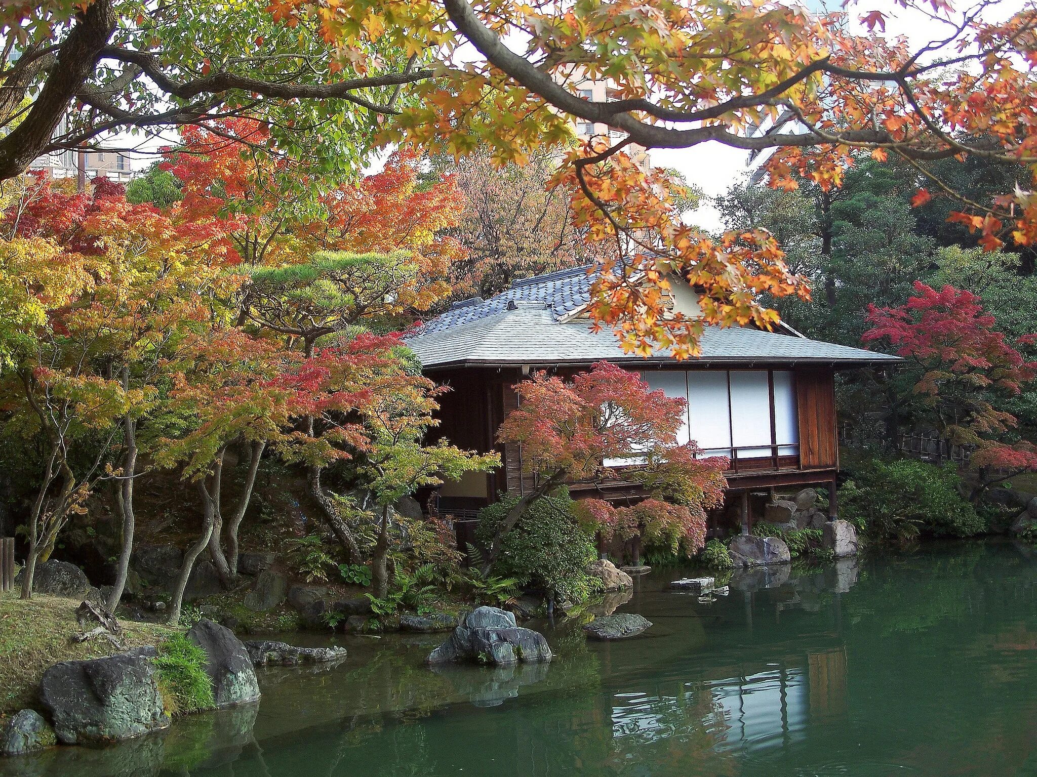 Примыкающий сад. Тясицу чайный домик в Японии. Чайный сад Тянива в Японии. Япония Киото чайный домик. Чайный сад Родзи в Японии.