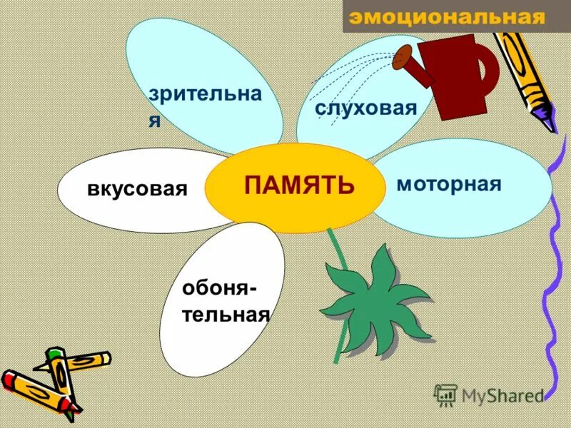 слуховая память. приемы развития памяти. моторно-слуховая память это. хорошая зрительная память. зрительная и слуховая память.