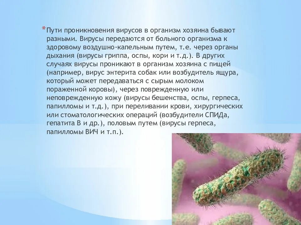 Значение вирусов в жизни человека и природе. Вирусы в природе. роль вирусов в природе. вирусы и их роль в природе и жизни человека. пути проникновения вирусов в организм.