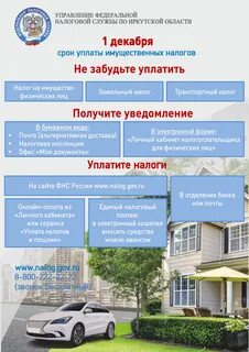 1 декабря имущественные налоги