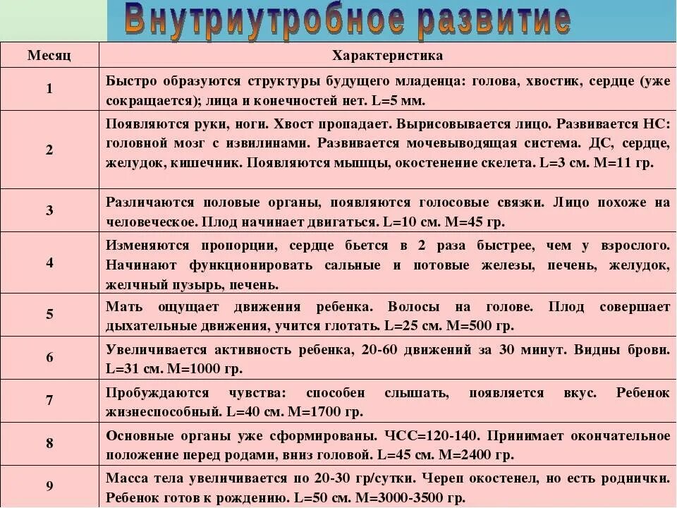 Таблица беременности и развитие ребенка. Таблица внутриутробное развитие плода. Особенности внутриутробного периода развития плода.. Таблица развития плода по неделям беременности триместры.