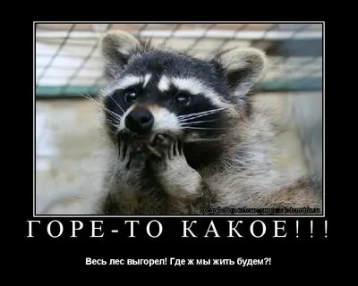Это горе то не горе