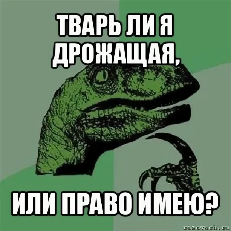 Следующую тварь. Мемы про тварей. тварь мем. тварь ли я дрожащая или право имею мемы. тварь я дрожащая или права имею мемы.