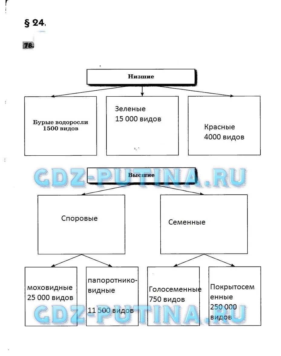 Биология 5 класс учебник пасечник тест. Схема развития растений 5 класс. Происхождение растений 5 класс Пасечник. Таблица по биологии Эволюция растений 5 класс.