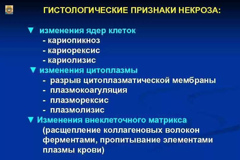 Признаки некроза изменение ядра. Гистологические признаки некроза. Стадии изменения ядра при некрозе. Изменение цитоплазмы при некрозе.