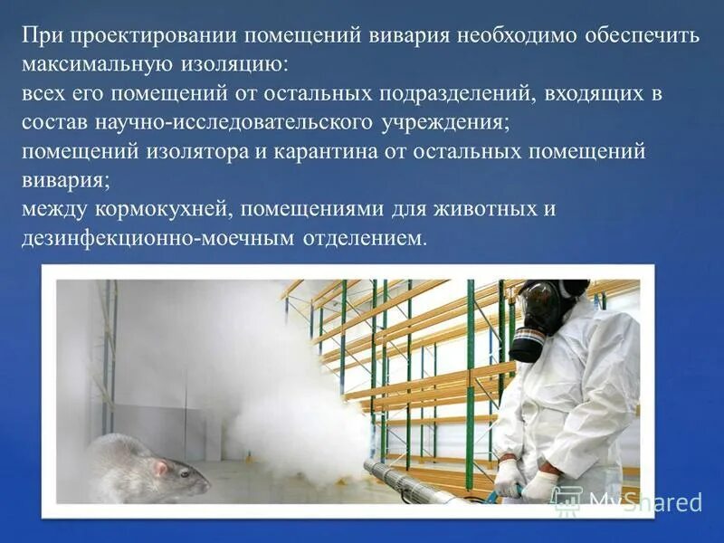 Гигиена содержания разных видов животных. Содержание животных. Гигиена содержания разных видов животных. Гигиена содержания разных видов животных. Пастбищное содержание скота.