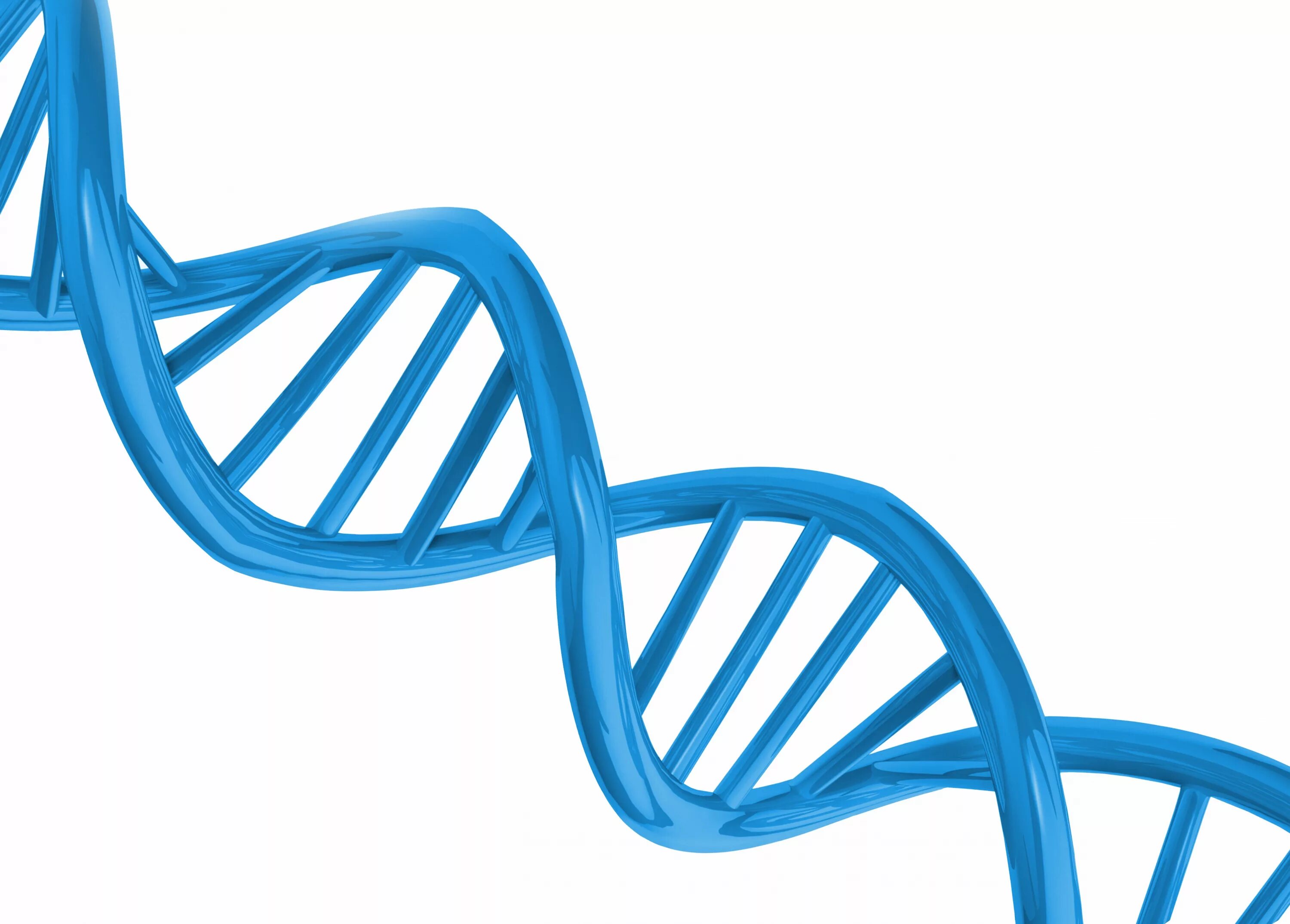 ДНК на белом фоне. Генетика без фона. ДНК на прозрачном фоне. Спираль ДНК на белом фоне.