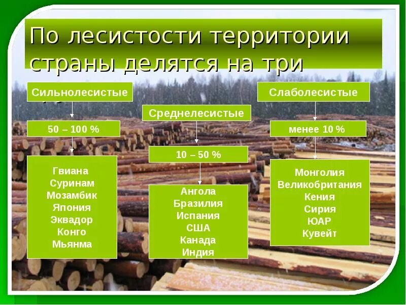 Какими лесными ресурсами богата россия. Типы лесных ресурсов. Лесные ресурсы презентация. Примеры лесных природных ресурсов. Презентация на тему Лесные ресурсы.