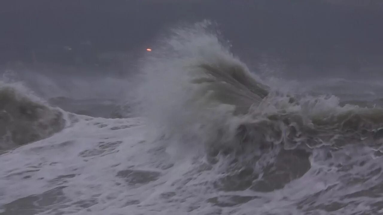 Балтийское море балтийск. Шторм в польше. Дерево упало в калининграде. Калининград зеленоградск шторм. Последствия шторма в ялте фото.