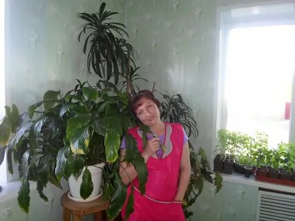 Погода в усть серте