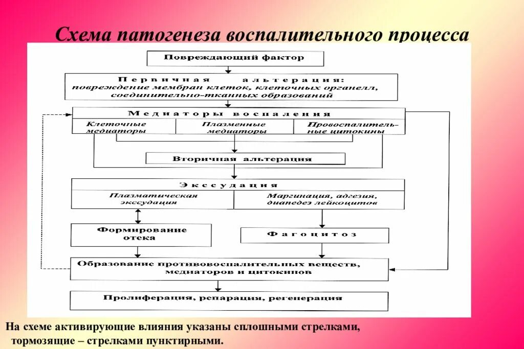 Исходы патогенеза. Схема патогенеза хронического воспаления. Патогенез воспаления схема. Механизм развития хронического воспаления. Схема развития воспалительного процесса.