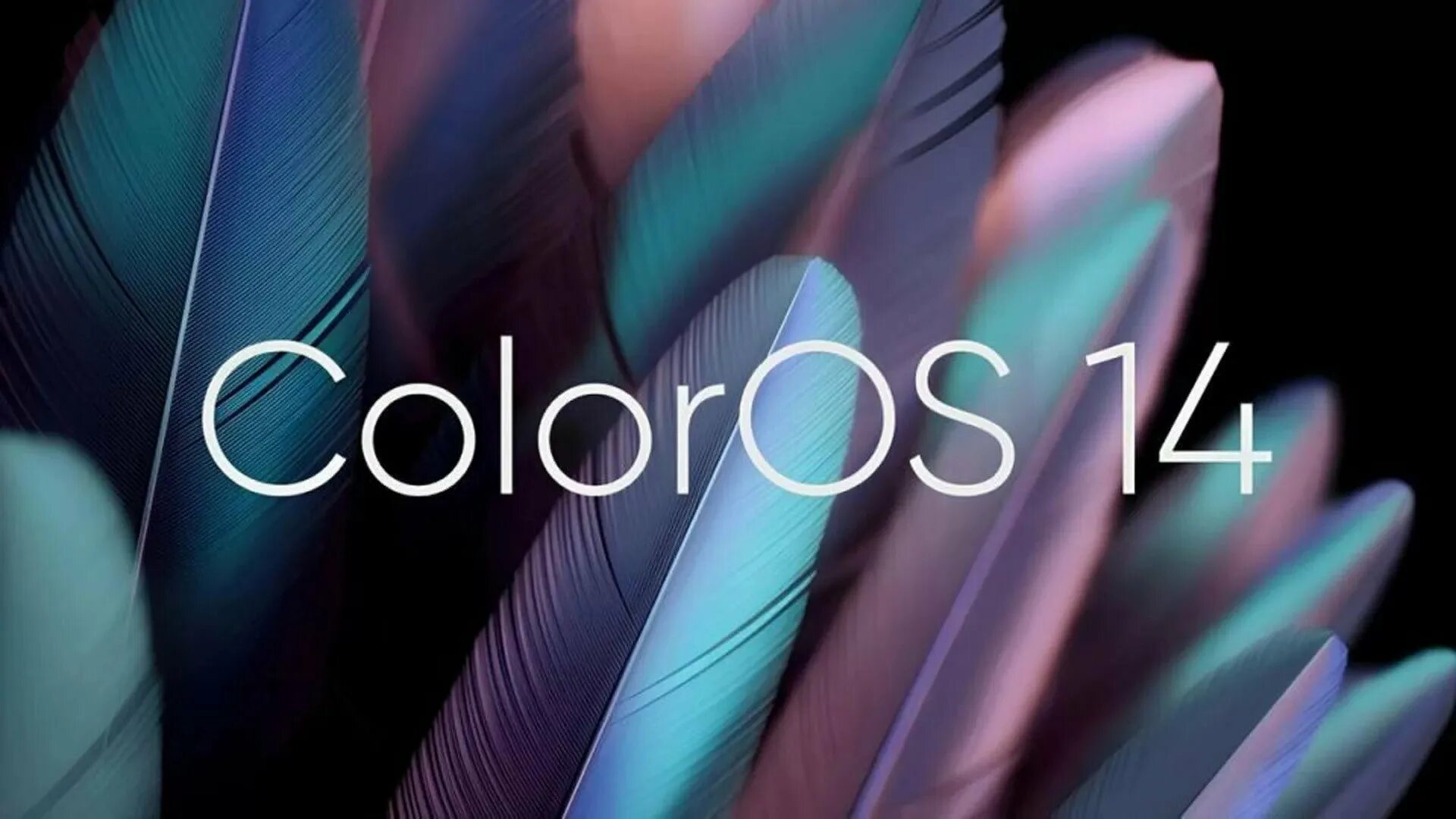 Android 14 oppo. Android 14 oppo