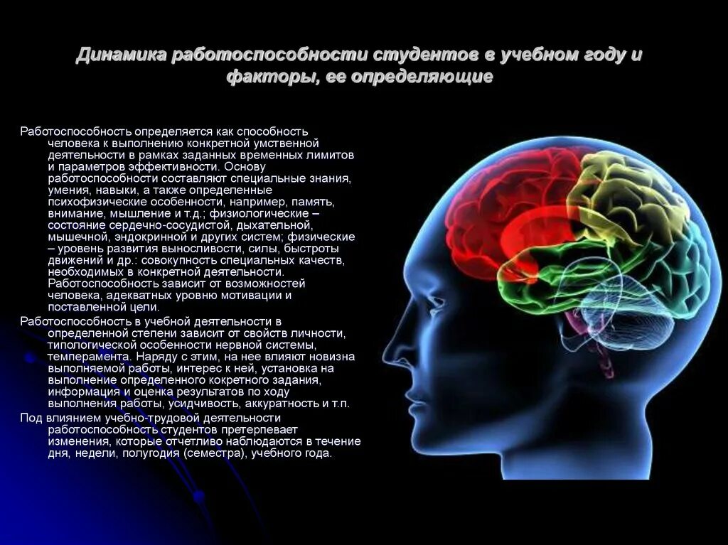 Факторы и возможности человека. Динамика работоспособности. Психофизиология человека. Динамика умственной работоспособности. Динамика работоспособности в учебном году и факторы ее определяющие.