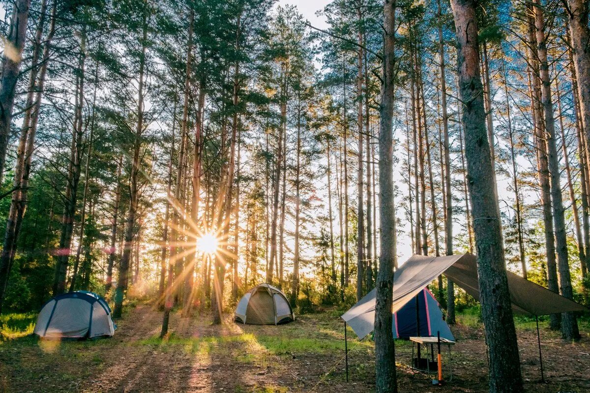 Camping photo. Озеро Селигер палаточный лагерь. Селигер палаточный лагерь кемпинг. Селигер кемпинг палаточный городок. Селигер озеро кемпинг.