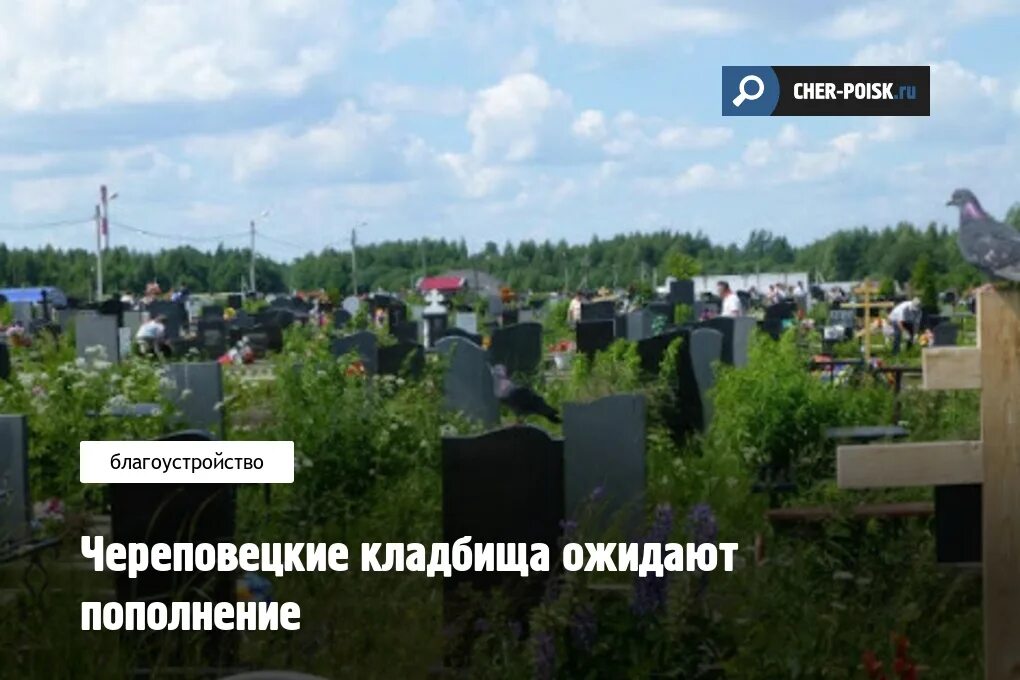 Кладбища череповца найти. Кладбища череповца найти