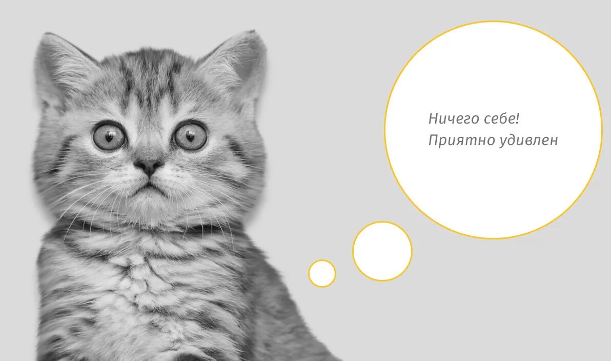 Ничего ю. Ничего себе удивление. ничего себе. ничего себе картинки. открытки ничего себе.