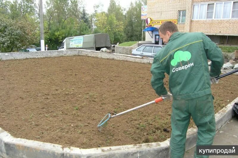 Услуга по благоустройству участков.