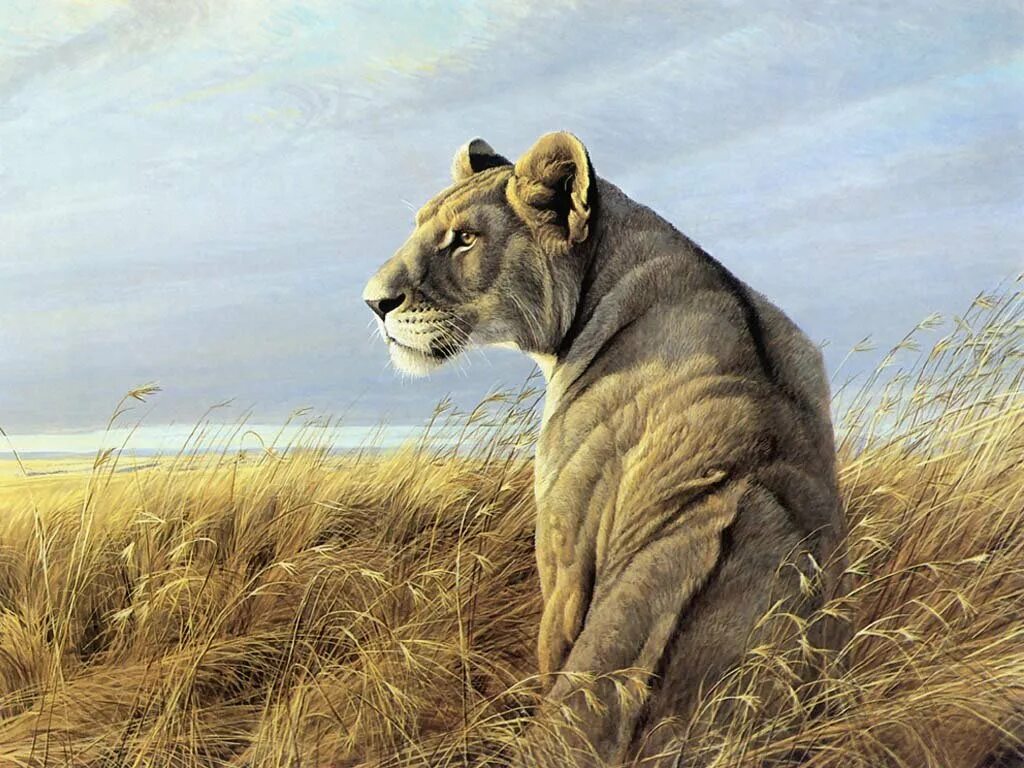 Анималист изображающий животных. Художник анималист robert bateman.