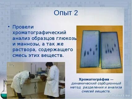 Опыт 17