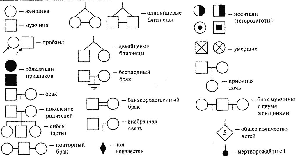 Генеалогическое Древо обозначения генетика. Родословная по генетике обозначения. Схема родословной генетика биология задачи. Генеалогическоеилерево генетика обозначения.