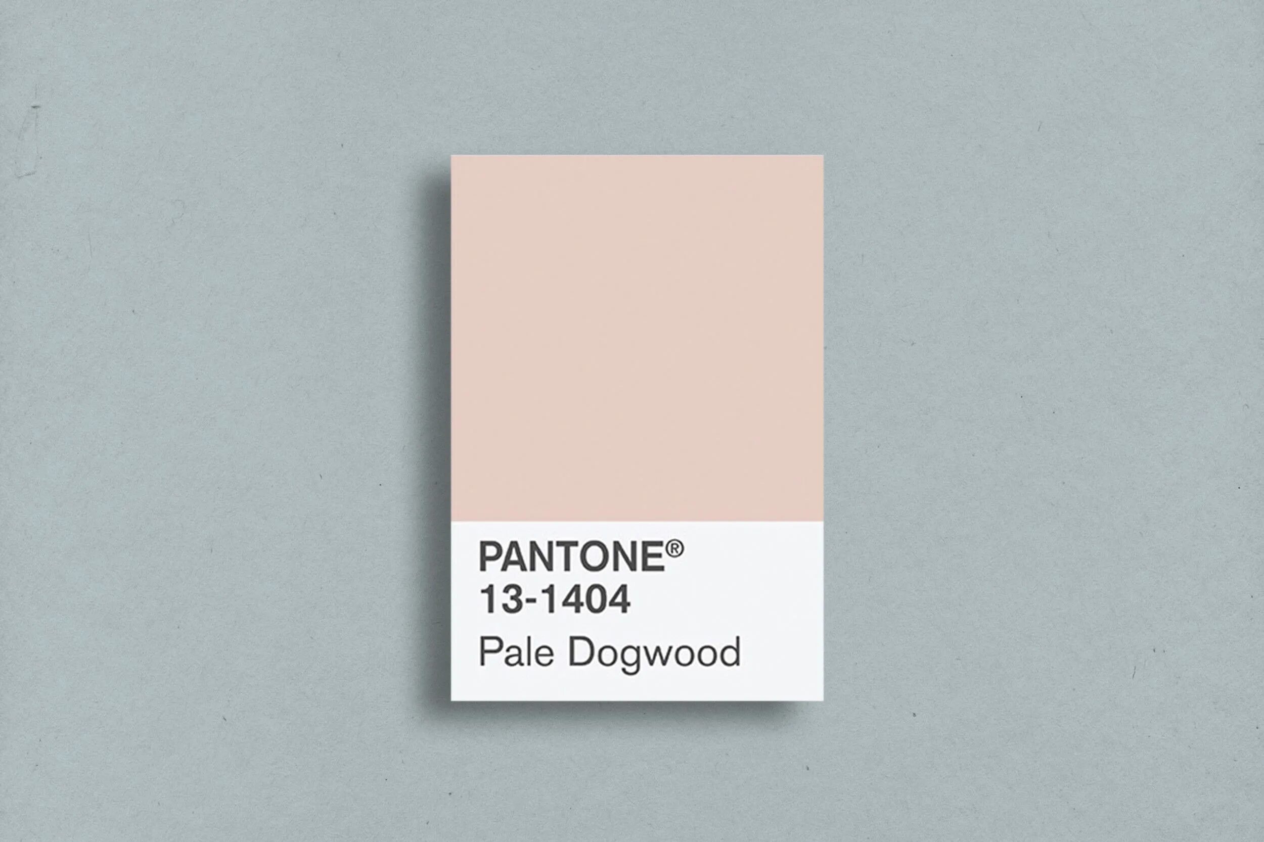 Пантон 13-1404. Цвет пантон 13-1404. Pantone 13-1404 pale Dogwood. Персиковый цвет пантон. Pantone mushroom