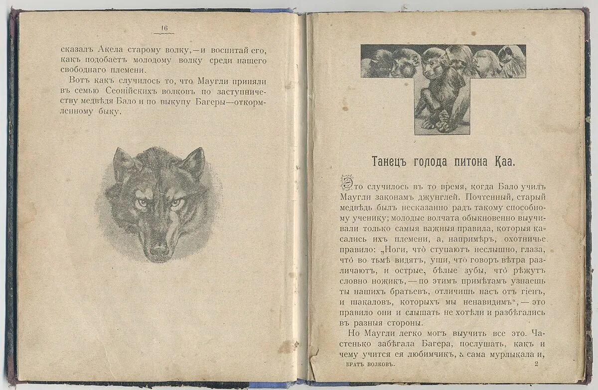 Брат волк книга. Книга брат волк 2. Братья Волковы. Ветклиника брат волка.