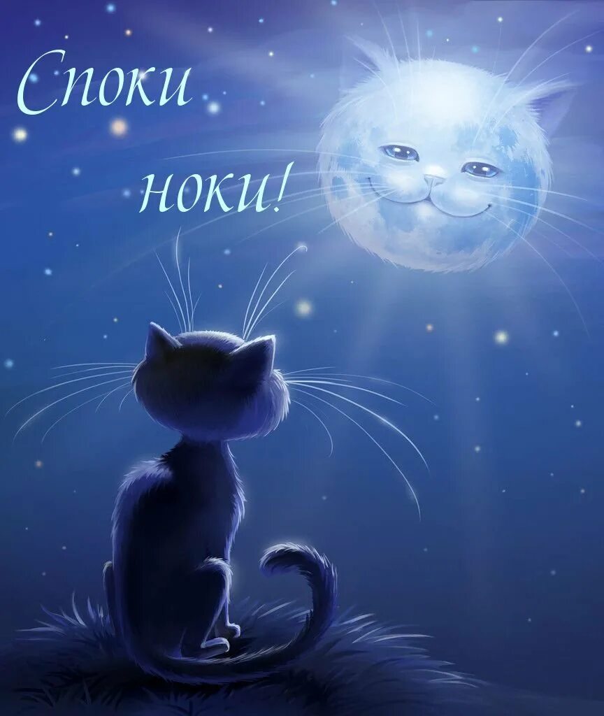 Доброй ночи. "Лунный кот". Доброй ночи картинки. Открытки спокойной ночи. Доброй ночи картинки прикольные красивые