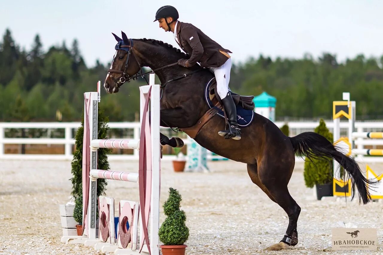 Horsevet. КСК Ивановское. Конноспортивный комплекс «Сокорос». КСК Ивановское Ногинск. КСК В Иваново поле.