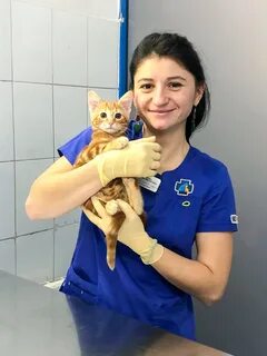 Ветеринар принимающий