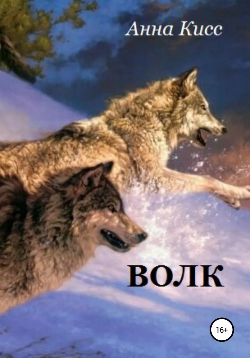 Читать книгу волк 2. Книги о волках. волк зима. книжка про волка. волки на камчатке.