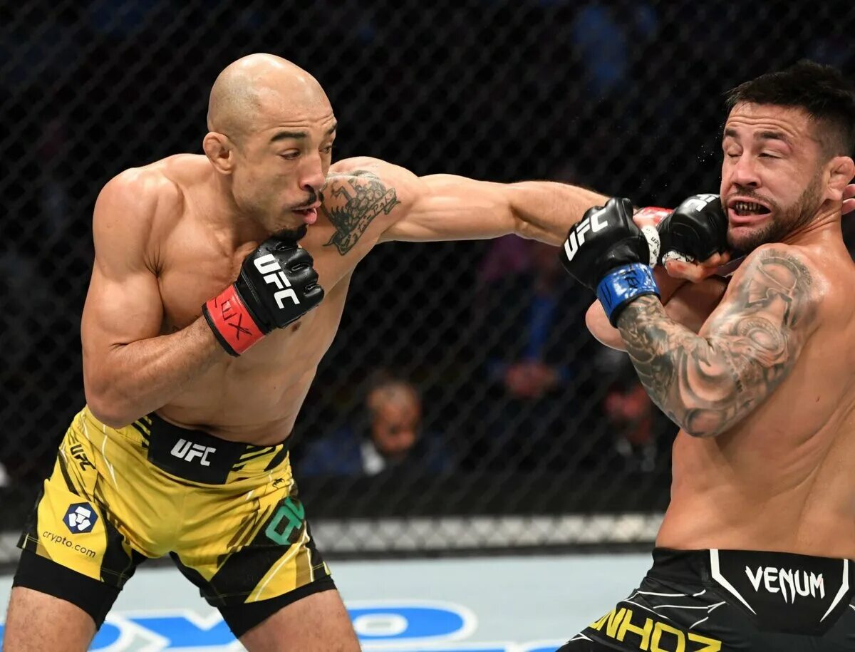 Жозе альдо бои. Юфс 194. Жозе альдо бои. Жозе альдо бои. Педро муньос.