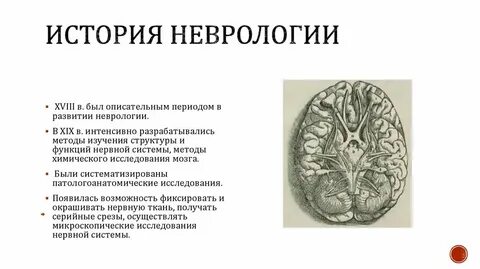 Научные сайты неврологии