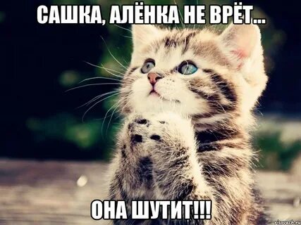 Картинка не злись любимый