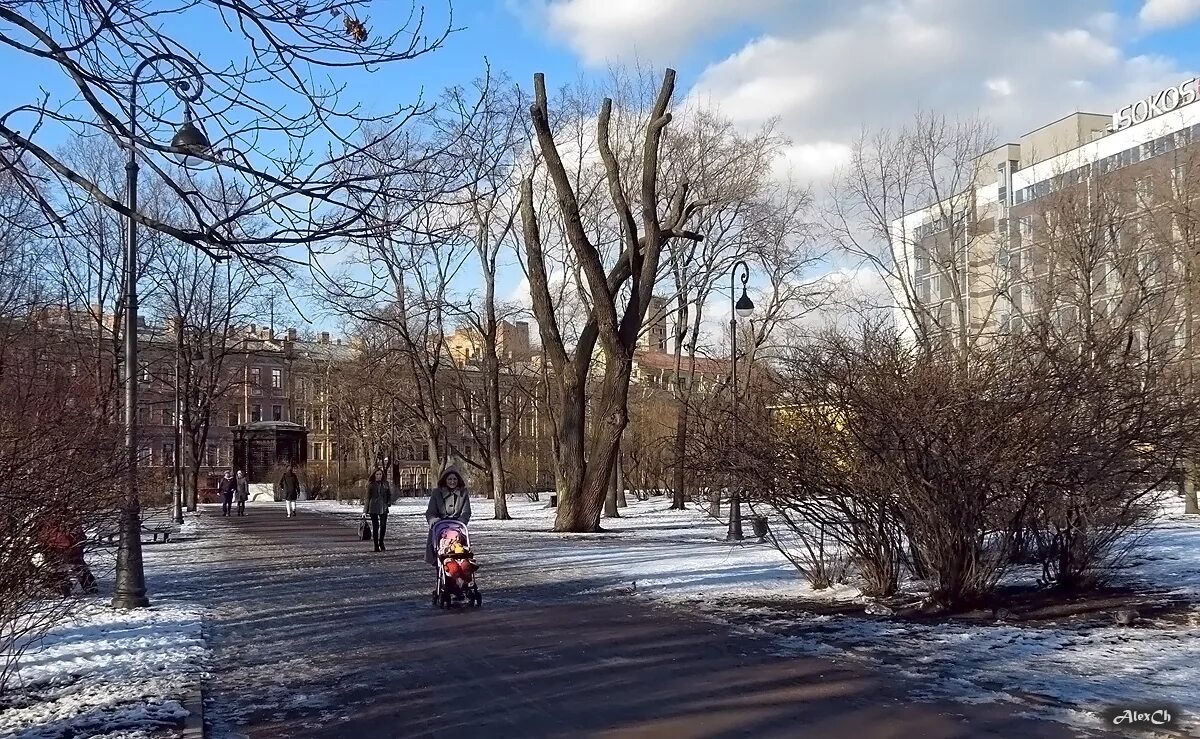 Парк Олимпия Санкт-Петербург. Сквер Олимпия в СПБ Московский проспект. Сад Олимпия СПБ.