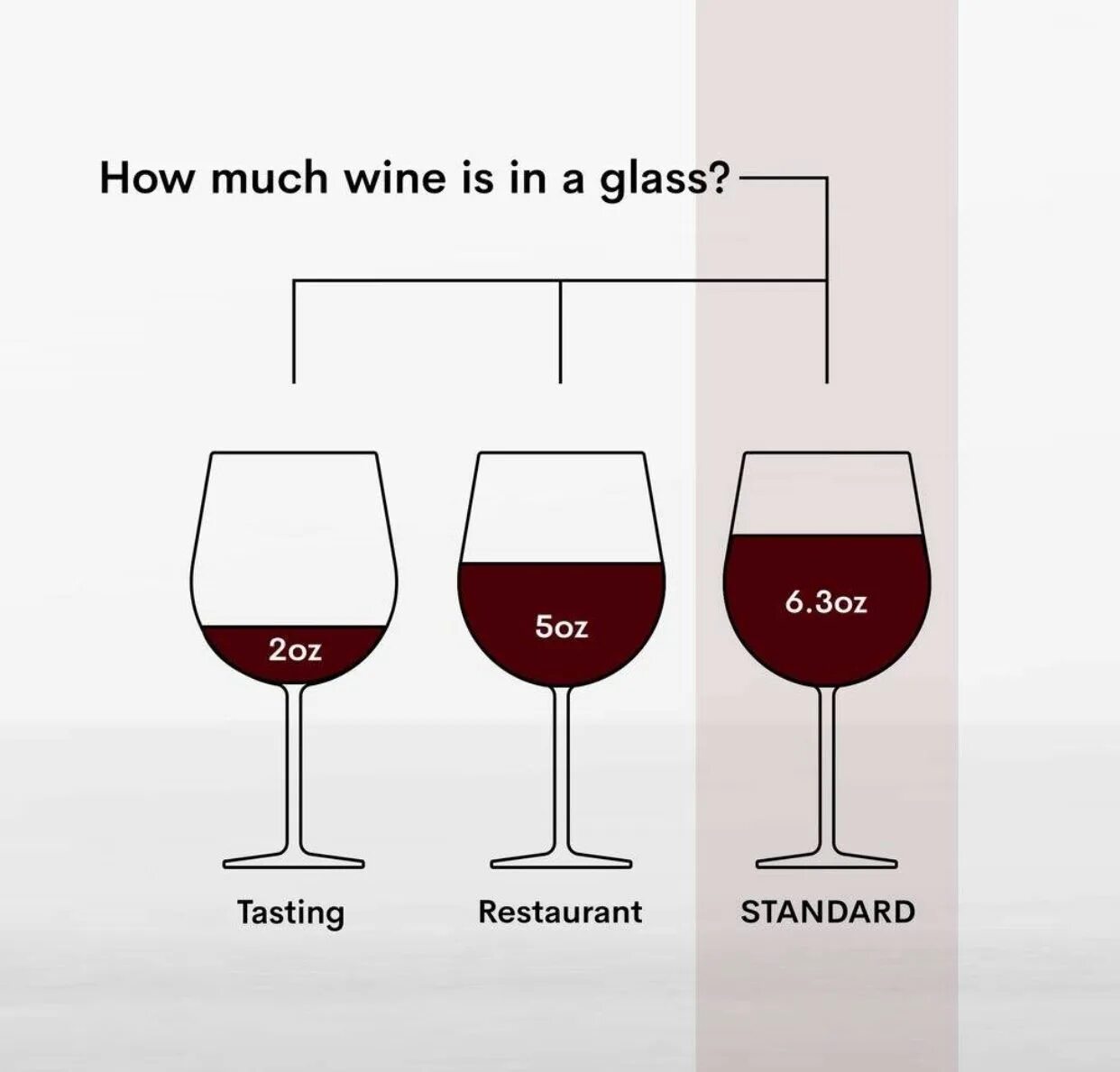Дегустация вина формы бокалов. Объём бокала для дегустации вина. Wine Box Standart Size. Вино much.