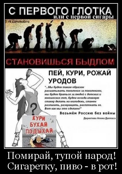 Не пьющий не курящий