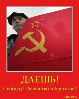 Даю свободу