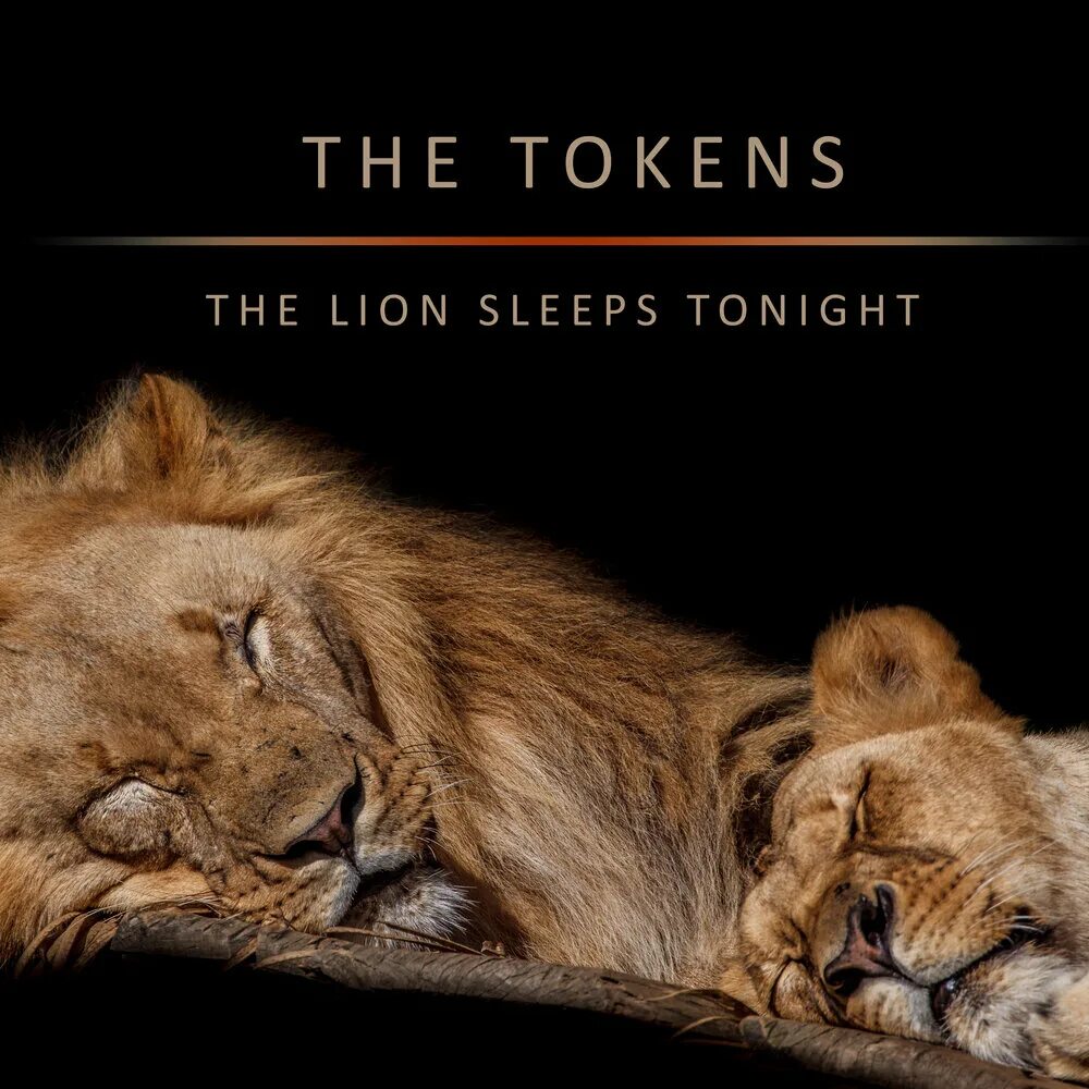 Спящие львы. The tokens - the Lion Sleeps Tonight. Фото спящих Львов,тигров,. Фф sleeping lions автор litmasily
