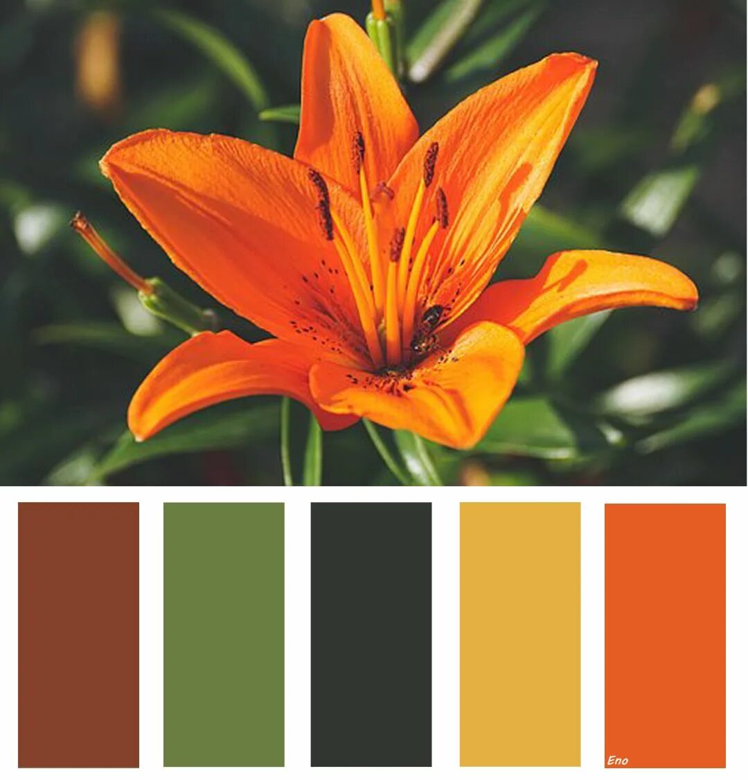 IN COLOR BALANCE Подбор цвета Страница 94 Color palette, Color schemes, Color in