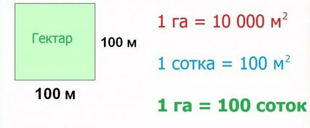 Сколько соток в гектаре земли