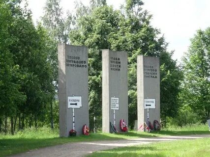 Шоссе дорога жизни всеволожск