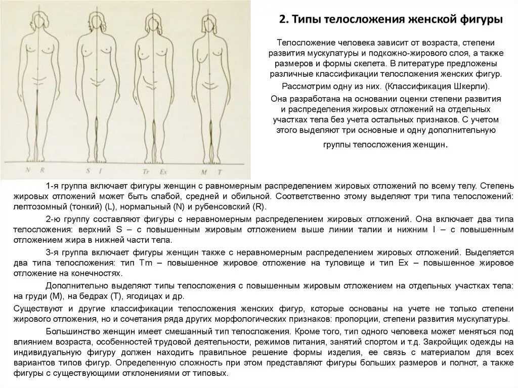 Какая может быть фигура описание. Тип пропорций тела. Типы телосложения. Типы телосложения у женщин. Фигура женская типы фигур.