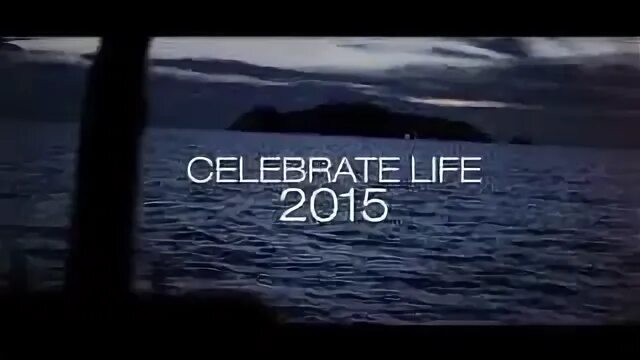 Celebrate this life. Эмблема ярмарки. Celebrate this life. Quotes about celebrations. Celebrate life.