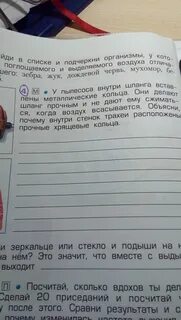 Подчеркните тела