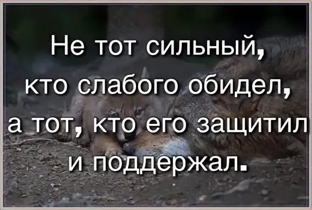 Быть сильнее обид. Сильные обижают слаюбых. Кто обижает слабых. Обижать слабого. Кто обижает слабых тот.